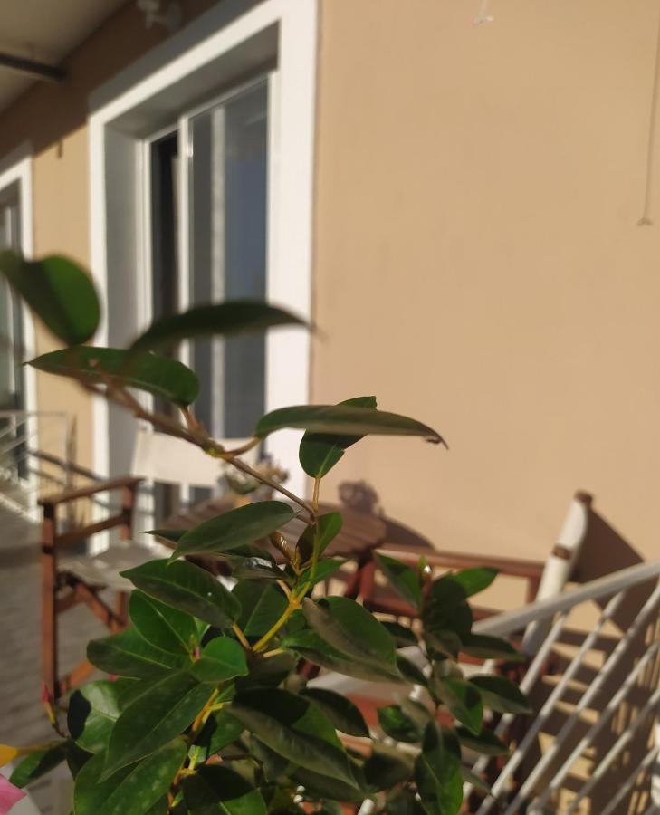 Apartmani Vico Херцег-Нови Экстерьер фото
